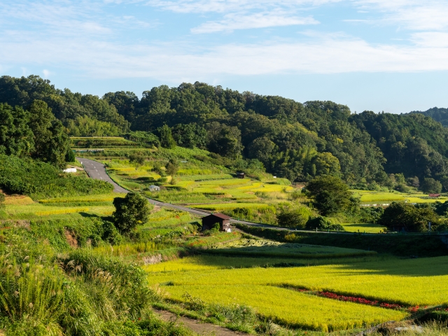 奈良県の田園風景