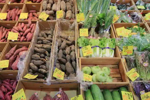 加賀野菜