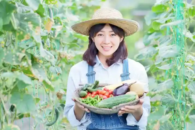 畑で野菜を抱える女性